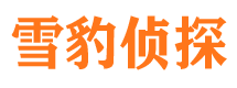 贡井侦探公司